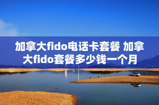 加拿大fido电话卡套餐 加拿大fido套餐多少钱一个月