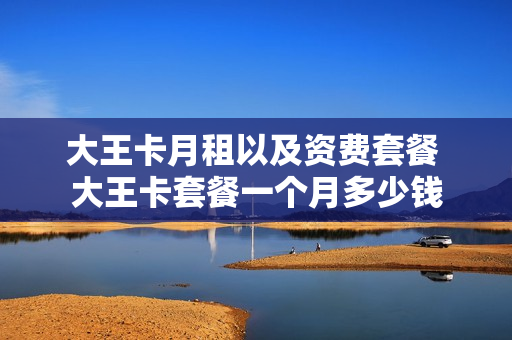 大王卡月租以及资费套餐 大王卡套餐一个月多少钱