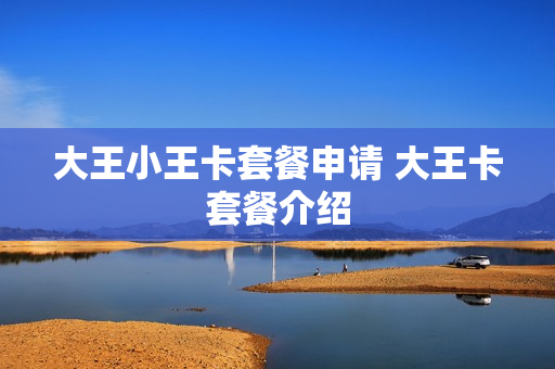 大王小王卡套餐申请 大王卡套餐介绍