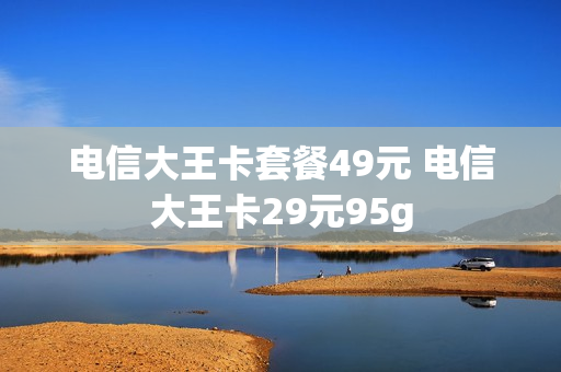电信大王卡套餐49元 电信大王卡29元95g
