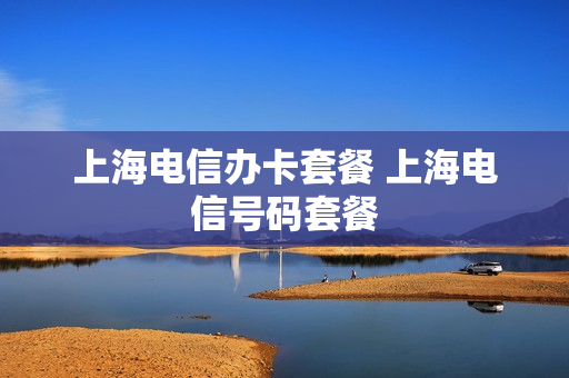 上海电信办卡套餐 上海电信号码套餐