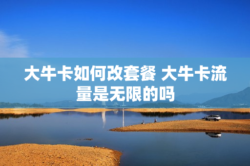 大牛卡如何改套餐 大牛卡流量是无限的吗