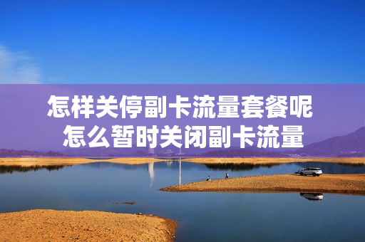 怎样关停副卡流量套餐呢 怎么暂时关闭副卡流量