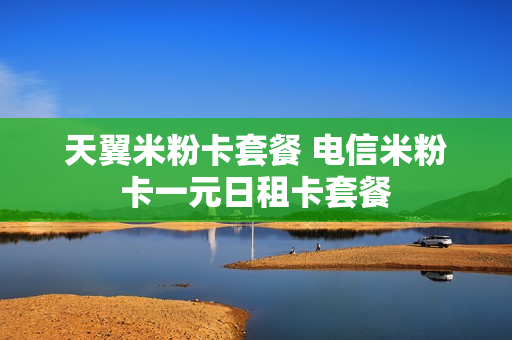 天翼米粉卡套餐 电信米粉卡一元日租卡套餐