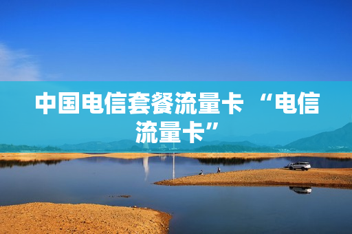 中国电信套餐流量卡 “电信流量卡”