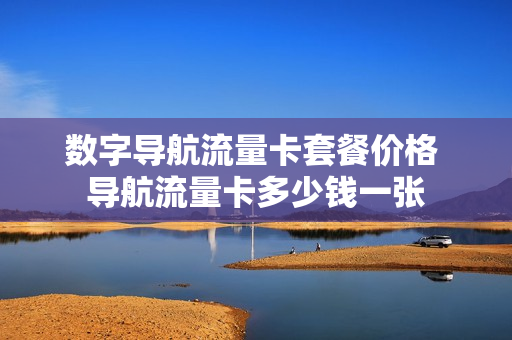 数字导航流量卡套餐价格 导航流量卡多少钱一张