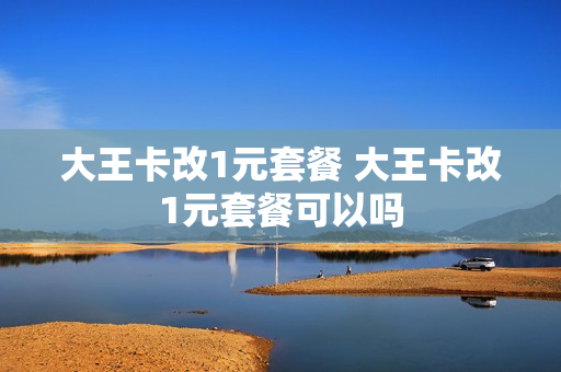 大王卡改1元套餐 大王卡改1元套餐可以吗