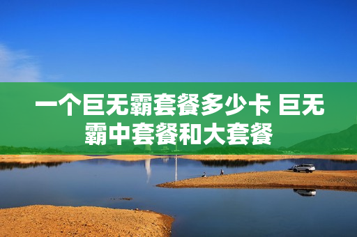一个巨无霸套餐多少卡 巨无霸中套餐和大套餐