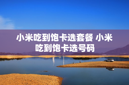小米吃到饱卡选套餐 小米吃到饱卡选号码