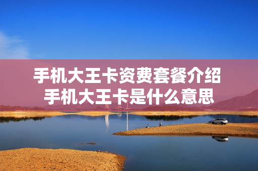 手机大王卡资费套餐介绍 手机大王卡是什么意思