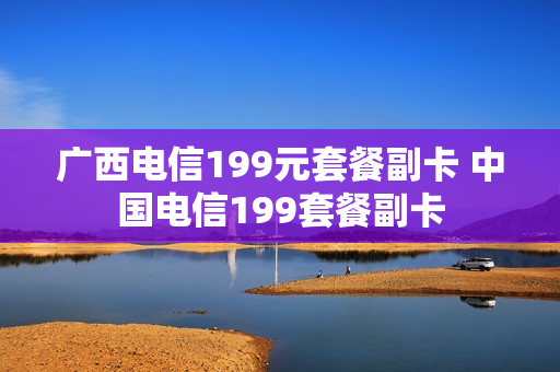 广西电信199元套餐副卡 中国电信199套餐副卡