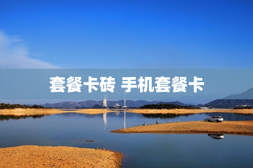 套餐卡砖 手机套餐卡