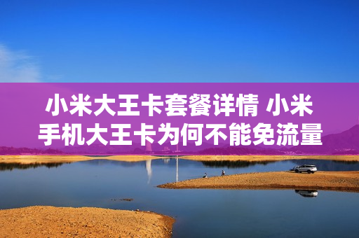 小米大王卡套餐详情 小米手机大王卡为何不能免流量