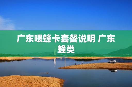 广东喂蜂卡套餐说明 广东蜂类