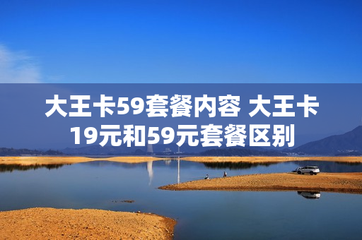 大王卡59套餐内容 大王卡19元和59元套餐区别