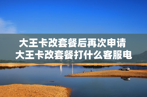 大王卡改套餐后再次申请 大王卡改套餐打什么客服电话