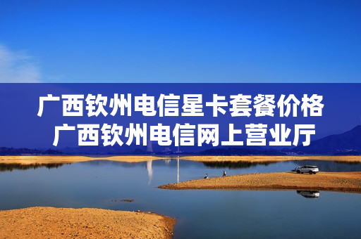 广西钦州电信星卡套餐价格 广西钦州电信网上营业厅