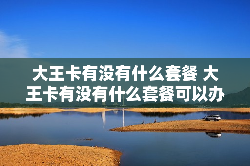 大王卡有没有什么套餐 大王卡有没有什么套餐可以办理