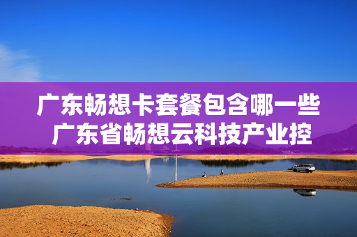 广东畅想卡套餐包含哪一些 广东省畅想云科技产业控股有限公司