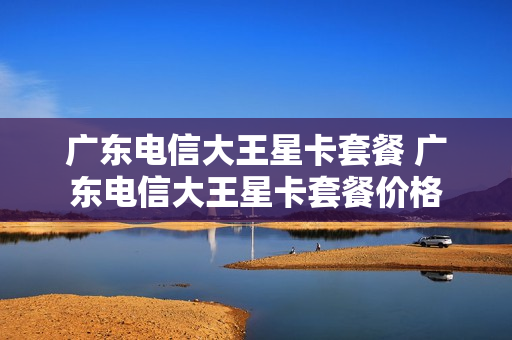 广东电信大王星卡套餐 广东电信大王星卡套餐价格