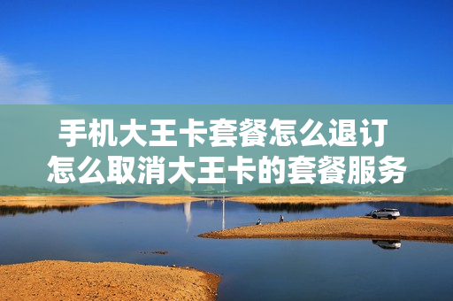 手机大王卡套餐怎么退订 怎么取消大王卡的套餐服务
