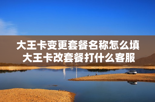 大王卡变更套餐名称怎么填 大王卡改套餐打什么客服电话