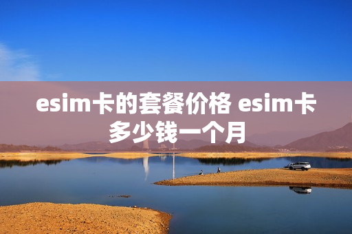 esim卡的套餐价格 esim卡多少钱一个月