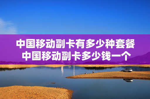 中国移动副卡有多少种套餐 中国移动副卡多少钱一个月
