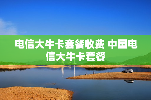 电信大牛卡套餐收费 中国电信大牛卡套餐