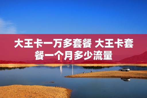 大王卡一万多套餐 大王卡套餐一个月多少流量