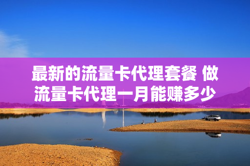 最新的流量卡代理套餐 做流量卡代理一月能赚多少