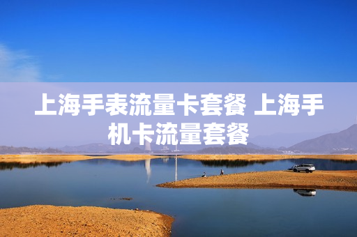 上海手表流量卡套餐 上海手机卡流量套餐