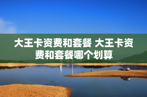 大王卡资费和套餐 大王卡资费和套餐哪个划算