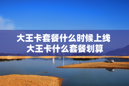 大王卡套餐什么时候上线 大王卡什么套餐划算