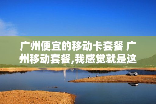 广州便宜的移动卡套餐 广州移动套餐,我感觉就是这个最实惠了