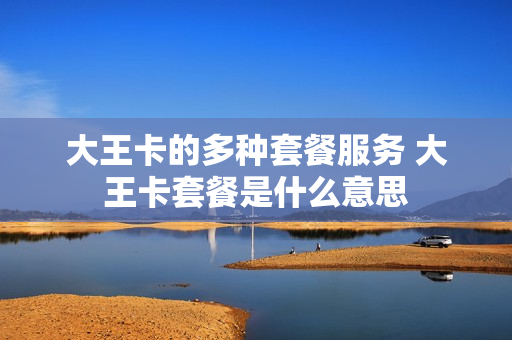 大王卡的多种套餐服务 大王卡套餐是什么意思