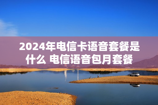 2024年电信卡语音套餐是什么 电信语音包月套餐