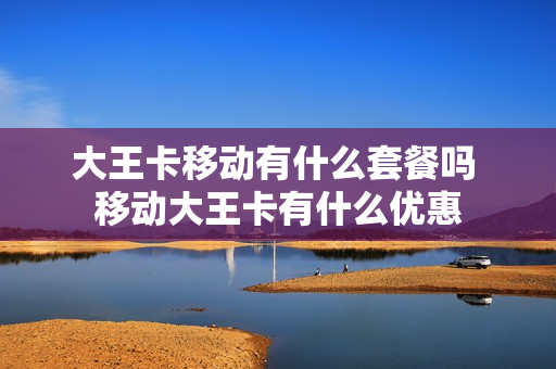 大王卡移动有什么套餐吗 移动大王卡有什么优惠