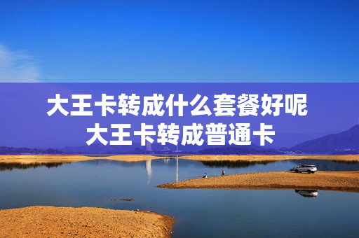 大王卡转成什么套餐好呢 大王卡转成普通卡