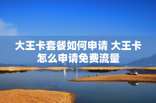 大王卡套餐如何申请 大王卡怎么申请免费流量