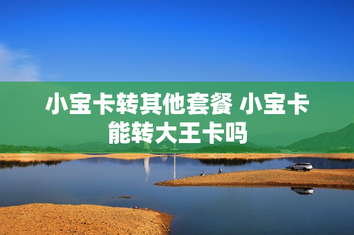 小宝卡转其他套餐 小宝卡能转大王卡吗