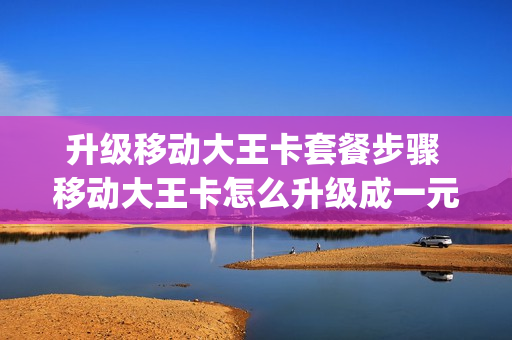 升级移动大王卡套餐步骤 移动大王卡怎么升级成一元1g