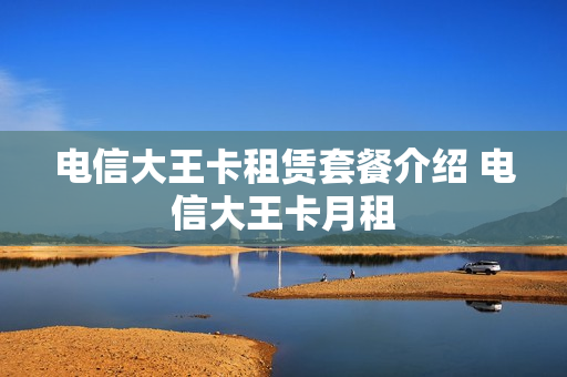 电信大王卡租赁套餐介绍 电信大王卡月租