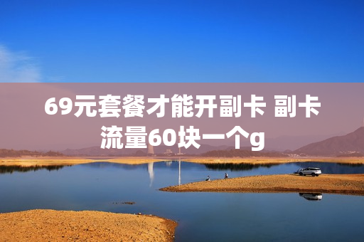 69元套餐才能开副卡 副卡流量60块一个g