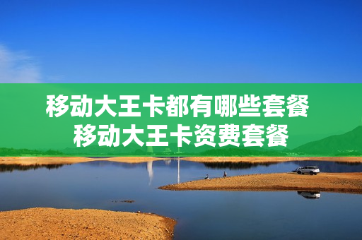 移动大王卡都有哪些套餐 移动大王卡资费套餐