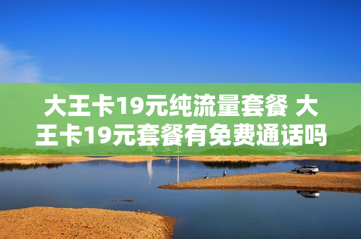 大王卡19元纯流量套餐 大王卡19元套餐有免费通话吗
