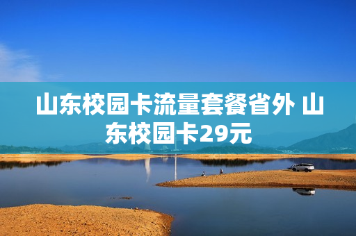 山东校园卡流量套餐省外 山东校园卡29元