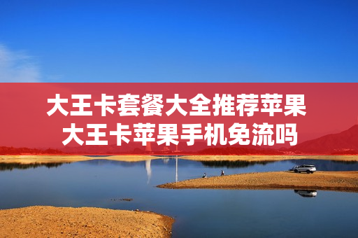 大王卡套餐大全推荐苹果 大王卡苹果手机免流吗