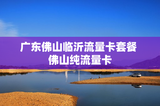 广东佛山临沂流量卡套餐 佛山纯流量卡