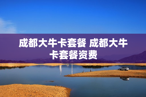 成都大牛卡套餐 成都大牛卡套餐资费